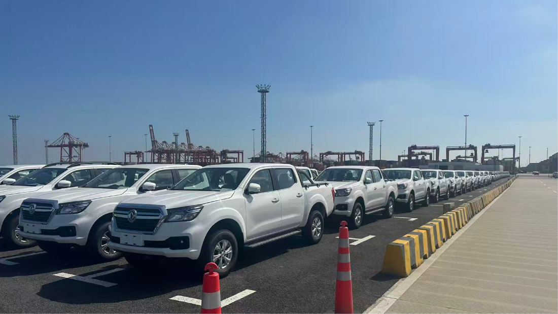 Fleet of export pickup trucks staged at the port for safe China to Africa RORO shipping